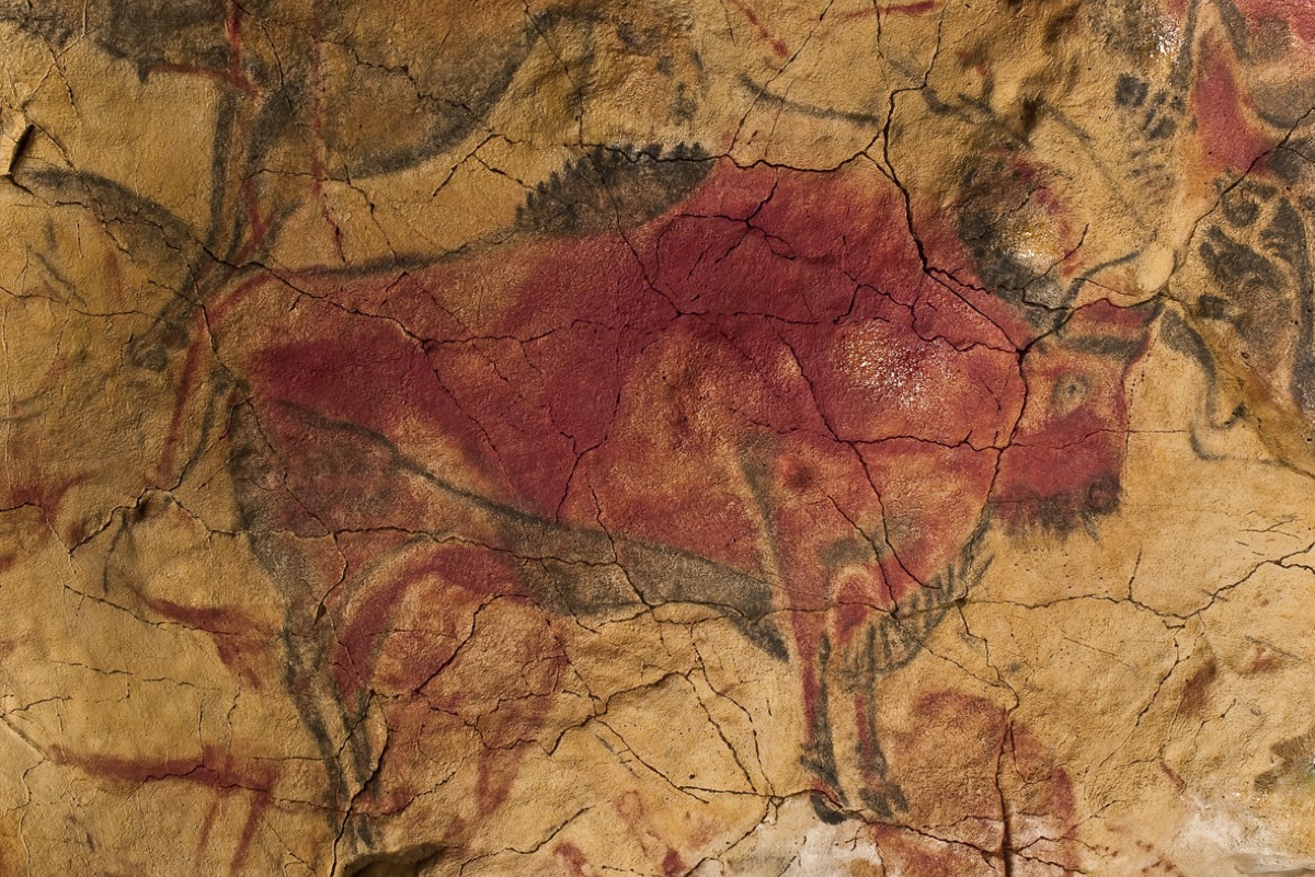The famous polychrome bison painted on the ceiling of Altamira cave in northern Spain - one of the decorated caves where scientists recovered ancient human DNA directly from the rock-art walls.
