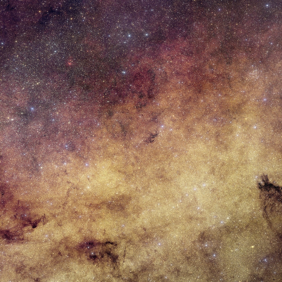 Euclid space telescope's image of the crowded center of the Milky Way (the galactic bulge), a dense visible-light mosaic of more than 60 million stars.