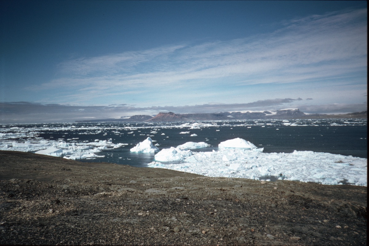 A view across the Antarctic Peninsula toward James Ross Island, where the titanosaur tail bone was collected in 1985; ice-covered today, the region was lush temperate forest 82 million years ago.