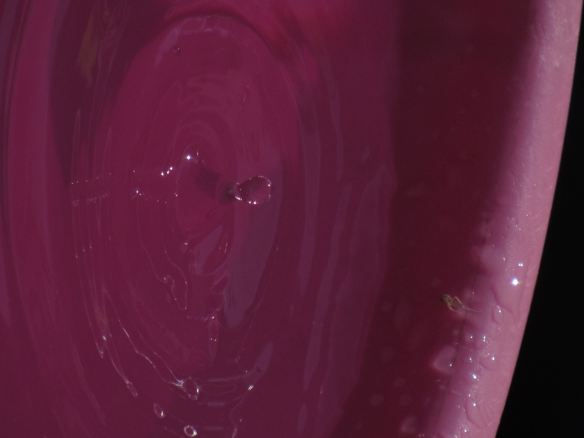 A single water droplet creating concentric ripples on a clear water surface, illustrating research into using UV-generated hydrogen radicals to destroy PFAS forever chemicals in water